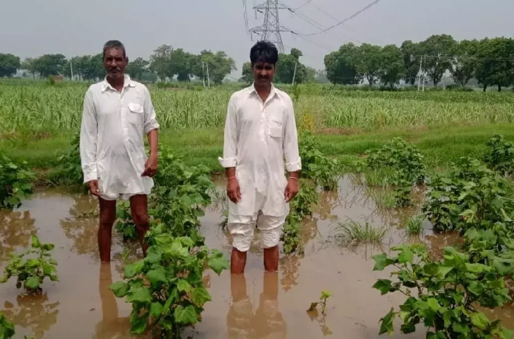 Rajasthan Fasal Bima Claim 2023 बरसात से खराब हुई फसल पर सभी किसानों को मिलेगा मुआवजा, तुरंत ऐसे भरे फॉर्म