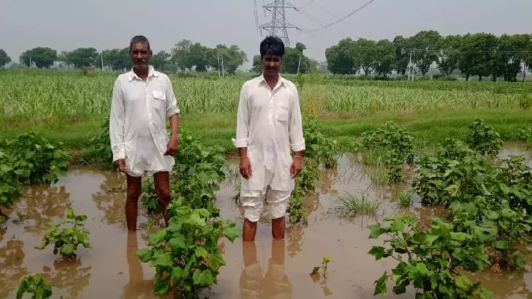 Rajasthan Fasal Bima Claim 2023 बरसात से खराब हुई फसल पर सभी किसानों को मिलेगा मुआवजा, तुरंत ऐसे भरे फॉर्म