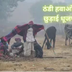 Rajasthan Weather Update sardi